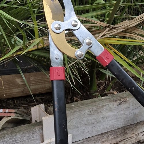 Bringing Garden Secateurs Back to Life with WD-40